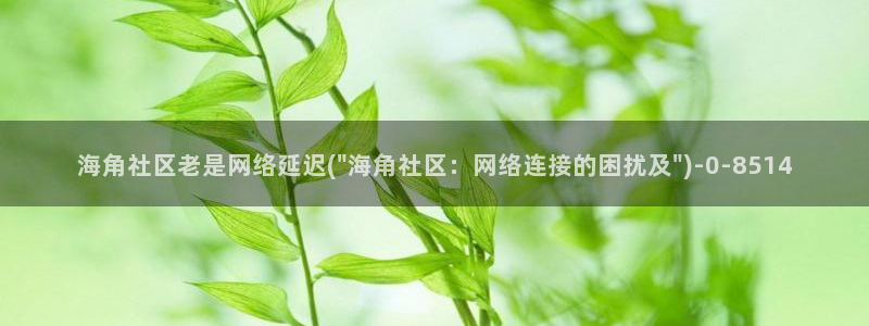 海角社区污版下载：海角社区老是网络延迟(\