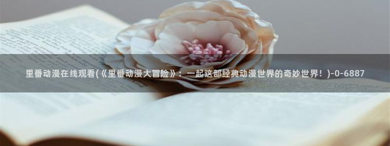 h动漫