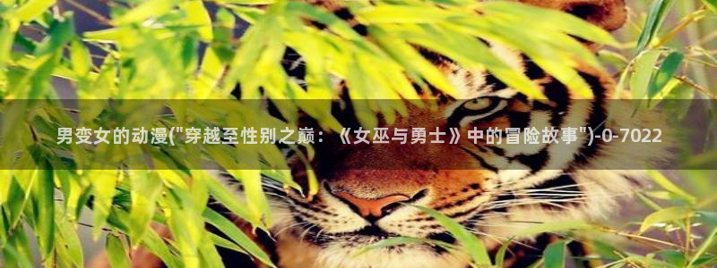 一拳超人动漫