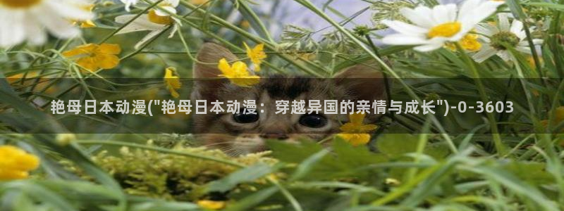 斗罗大陆动漫