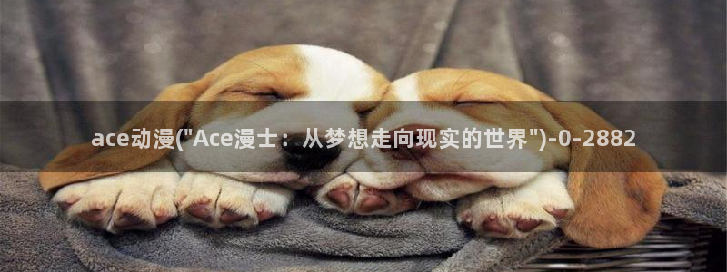 露点动漫