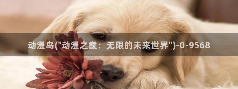 日本成人动漫：动漫岛(\