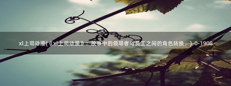 免费动漫网站：xl上司动漫(《xl上司动漫》：故事中的领导者与员工之间的