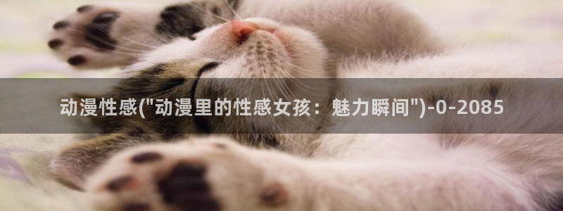 好看的动漫推荐