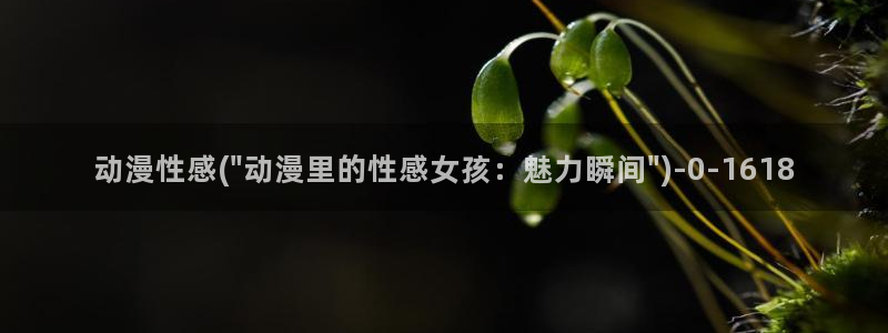 动漫培训学校