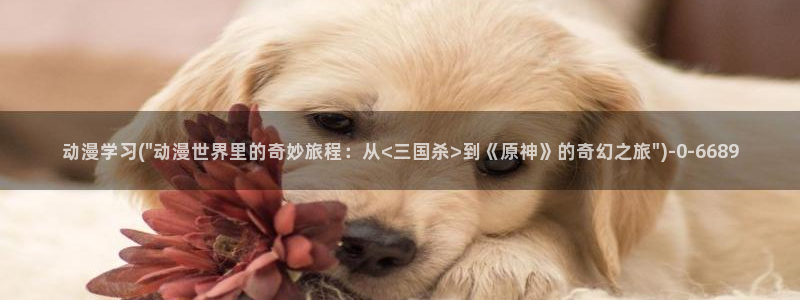 动漫解说